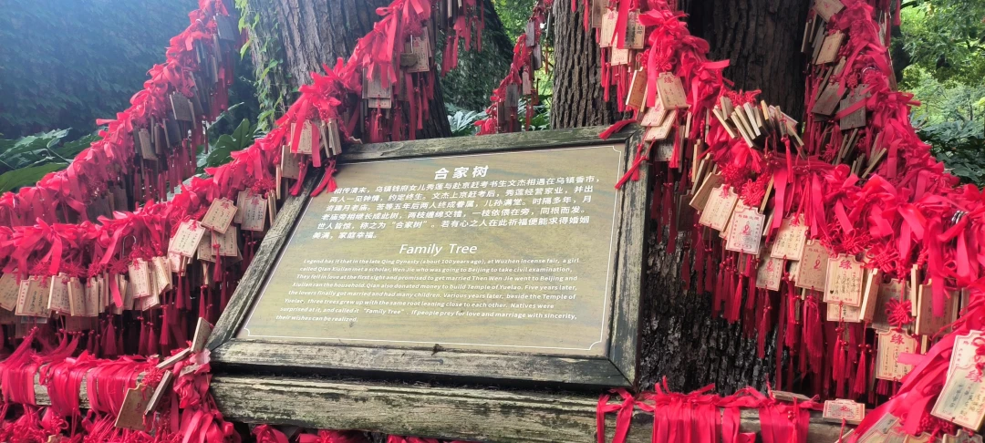 乌镇